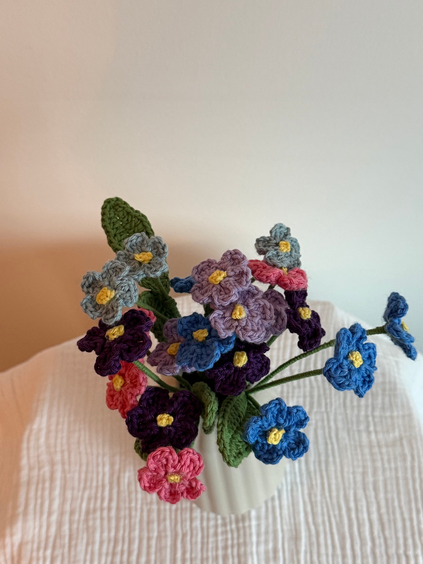 La myosotis