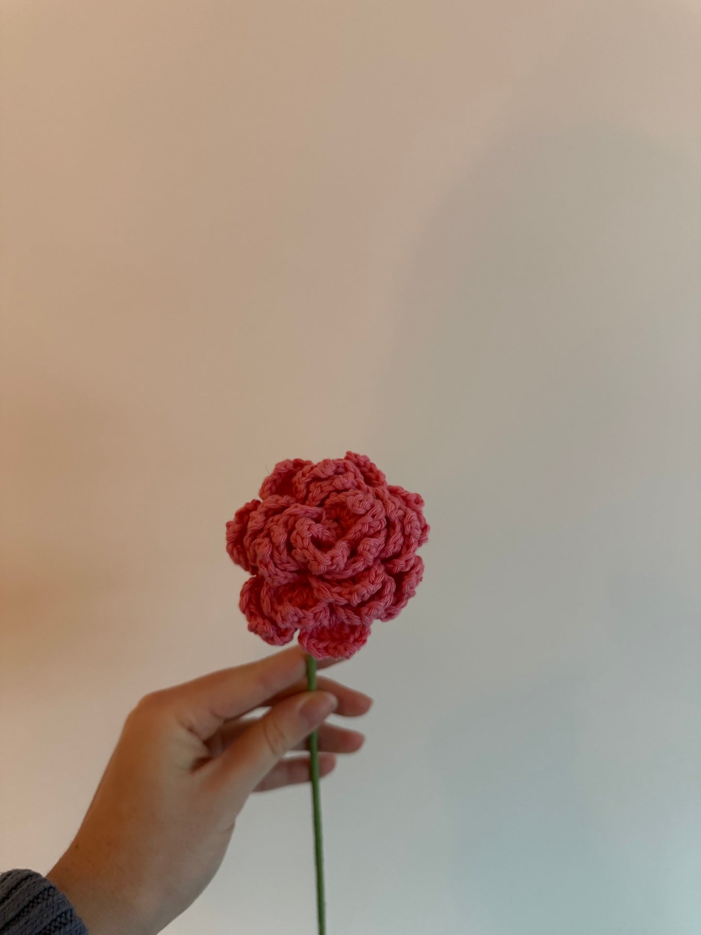 La grande rose