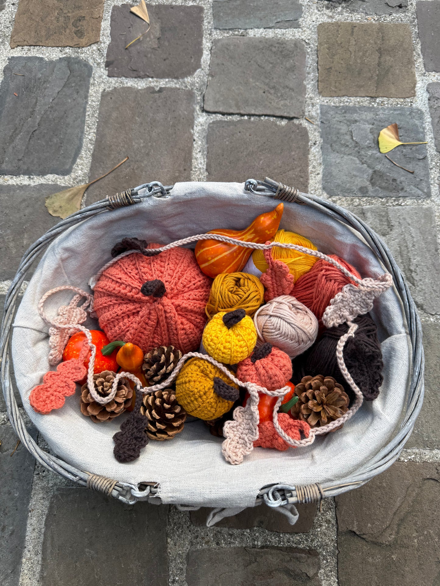 Lot de citrouilles