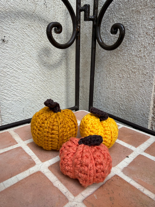 Lot de citrouilles