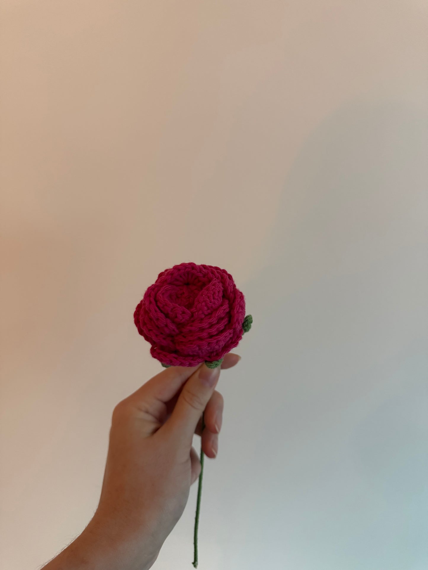 La rose Capuccino