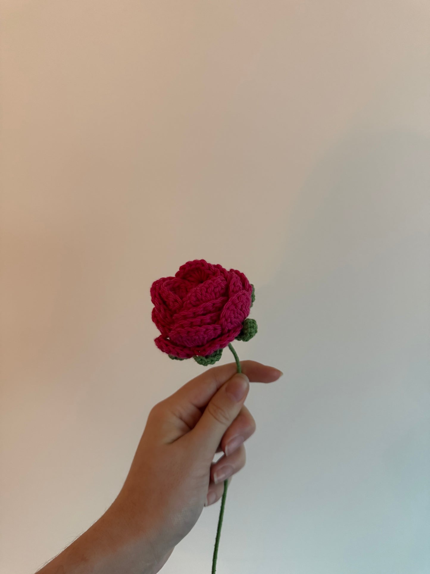 La rose Capuccino