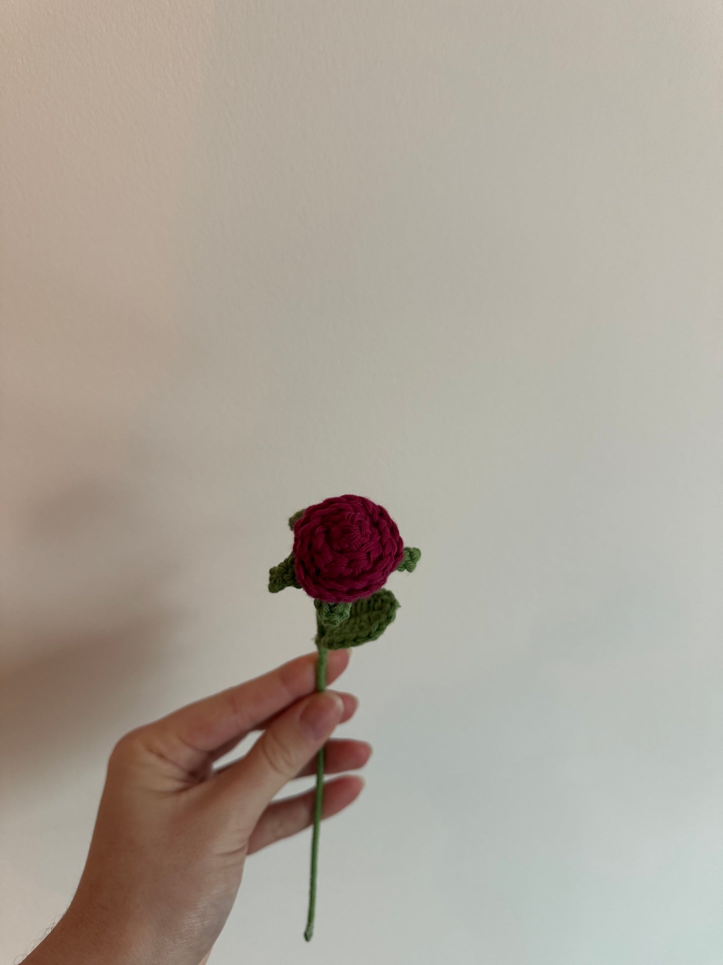 La petite rose