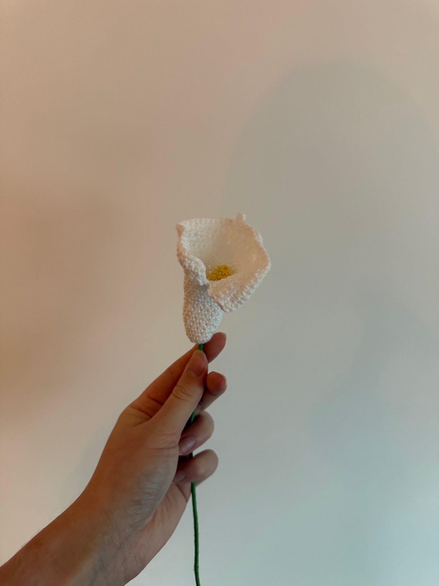 La fleur de lys trompette