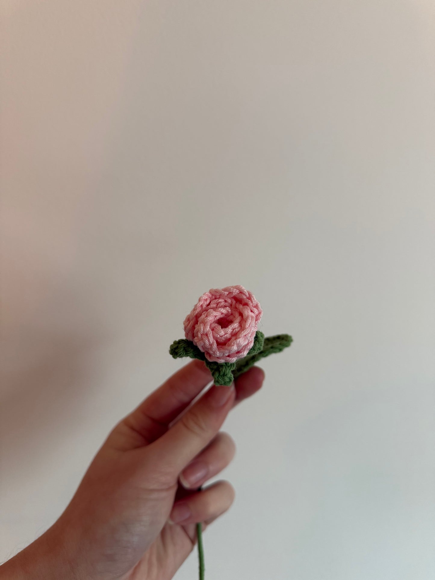 La petite rose