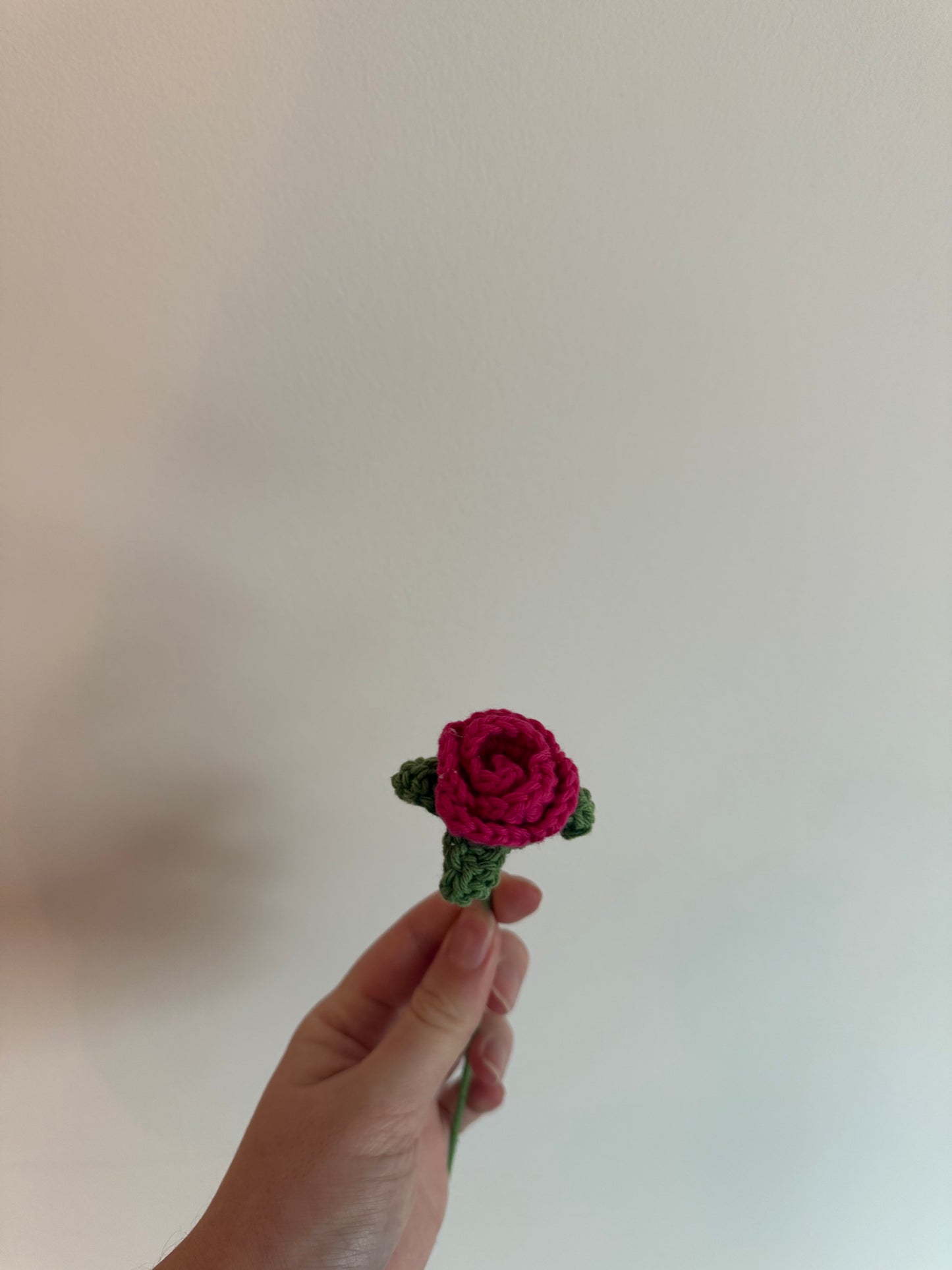 La petite rose