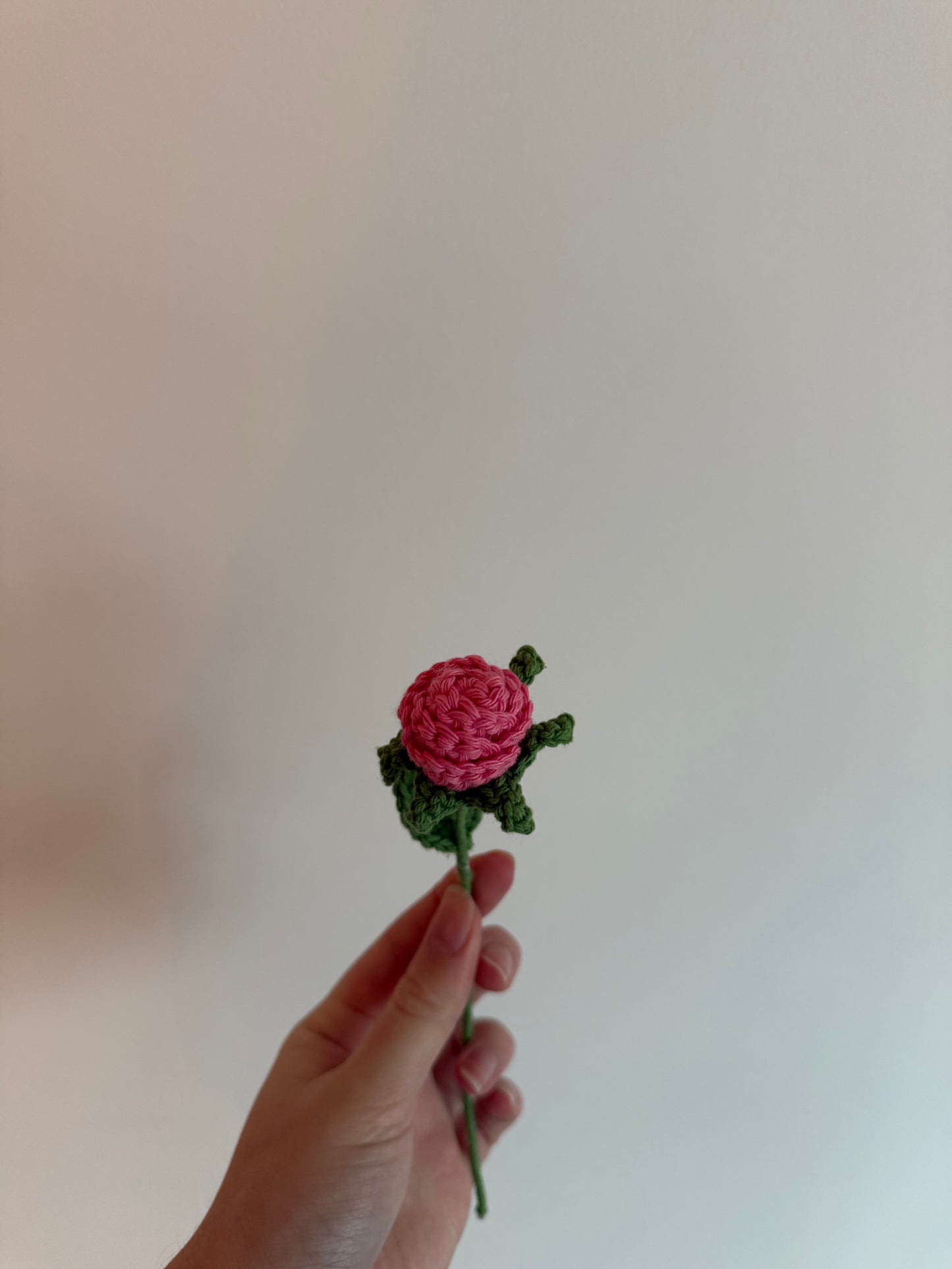 La petite rose