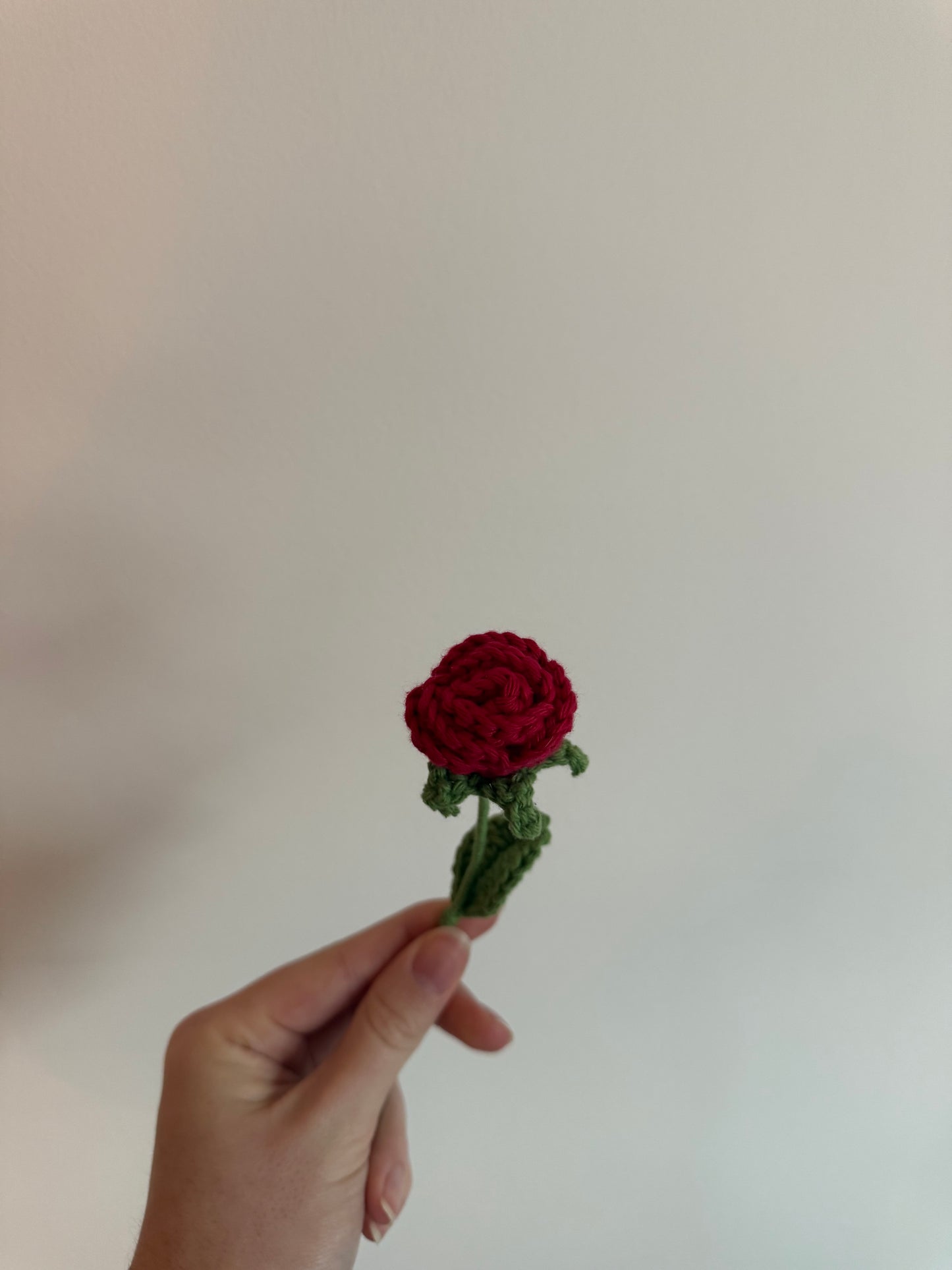 La petite rose