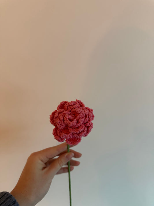 La grande rose