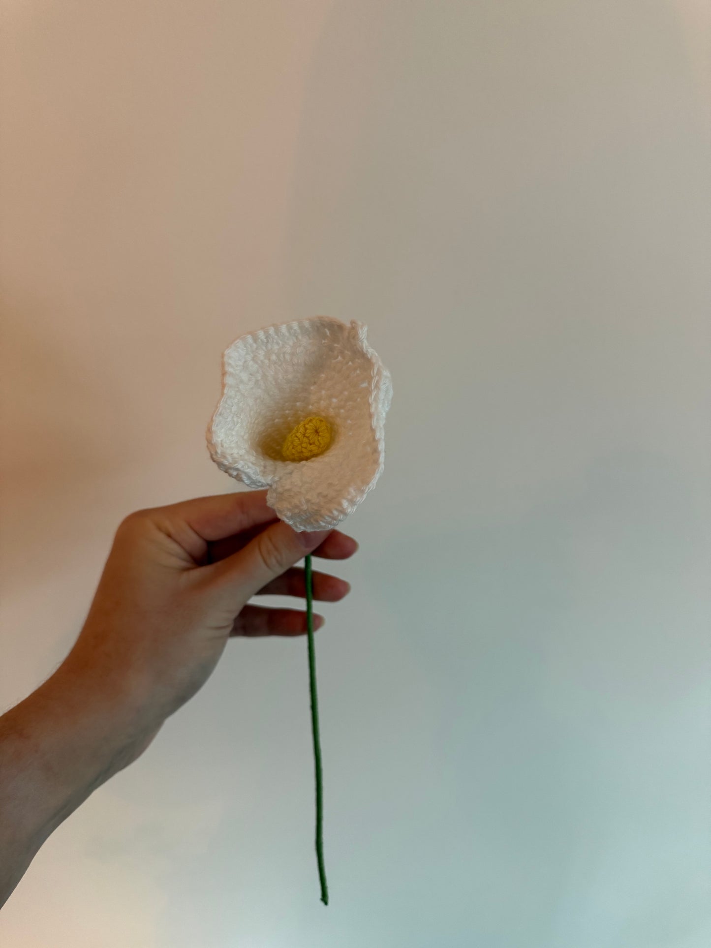 La fleur de lys trompette