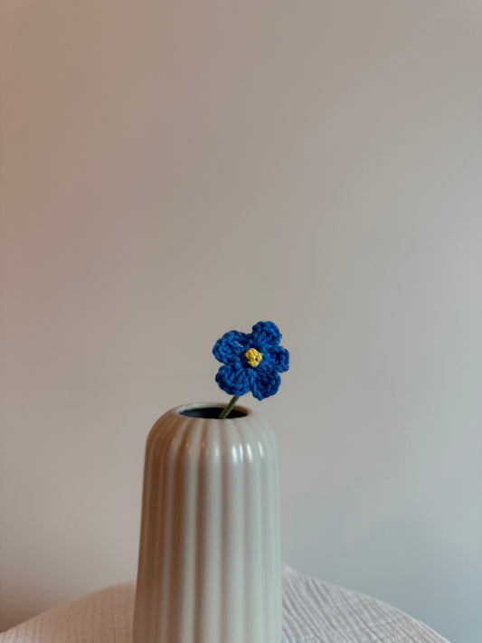 La myosotis